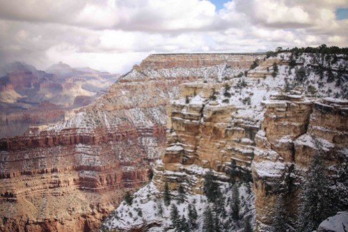 Grand Canyon, Arizona | USA-9