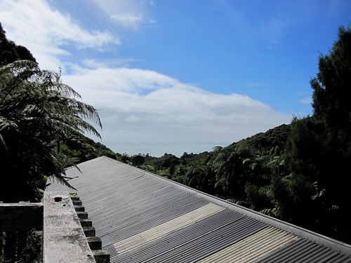 View from the Raglan Hostel