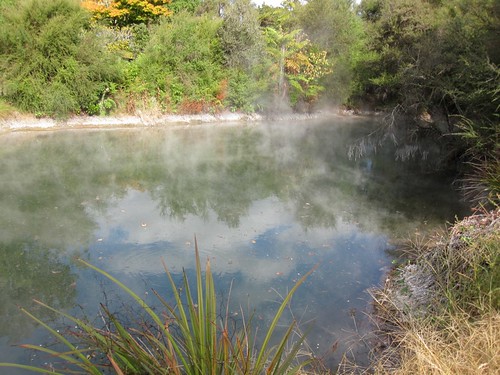 Roturua GeoThermal Park 1