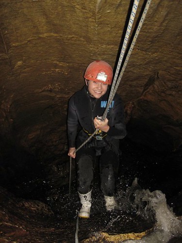 Waitomo Caves