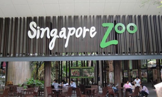 Singapore Zoo