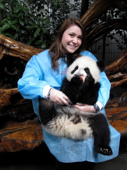 Nadine Panda Holding