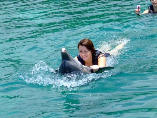 Riding the Dolphin