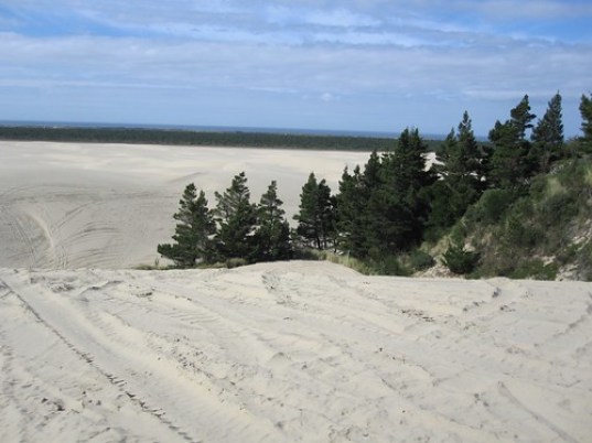 Oregon Dunes