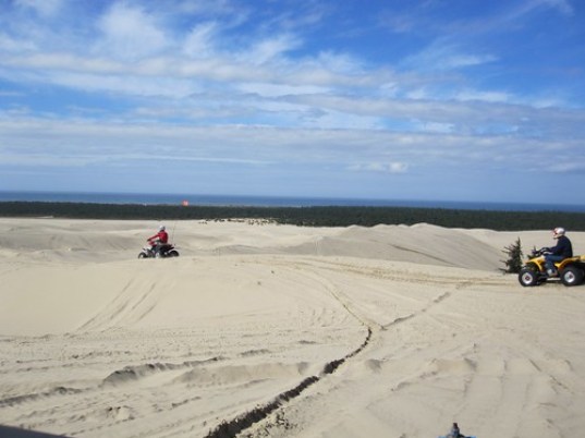 Oregon Dunes