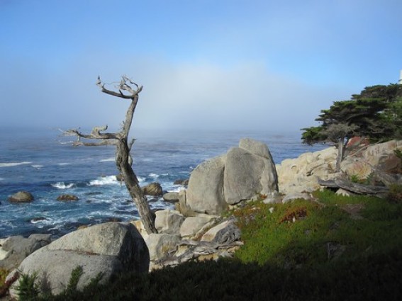 Monterey