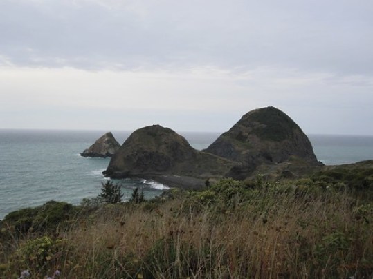 Oregon Coast 4