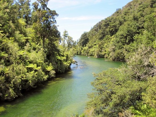 Abel Tasman River Hike