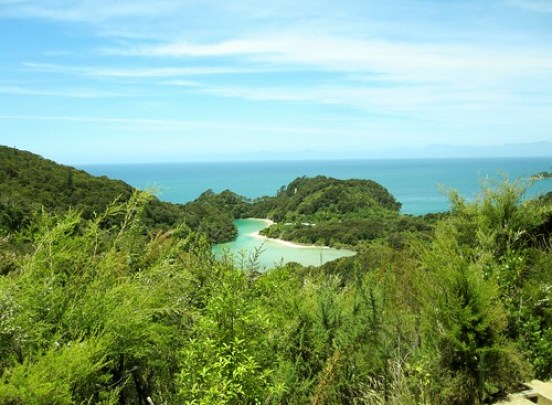 View from Abel Tasman Hiking