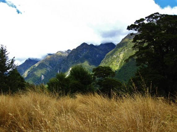 Milford Sound Mirror Lakes