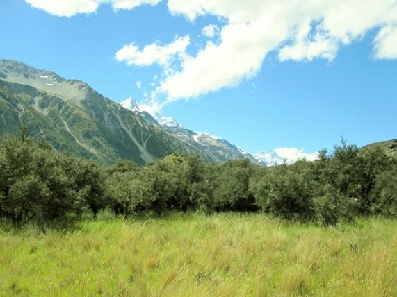 Mt Cook New Zealand