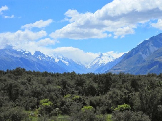 Mt Cook