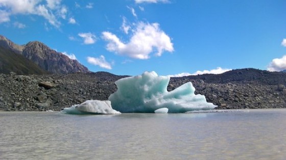 Glacier Explorers Mt Cook