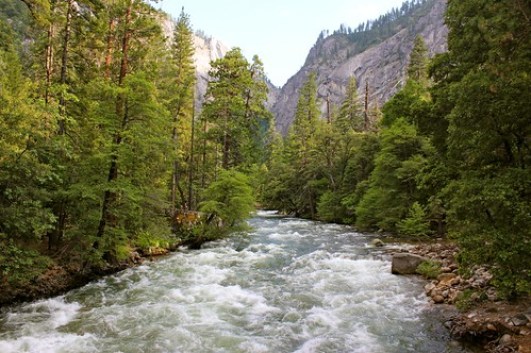 Rivers in Yosemite