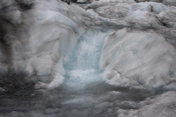 Fox Glacier, New Zealand