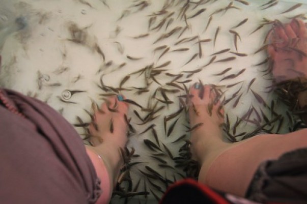 Fish Spa - Bangkok, Thailand