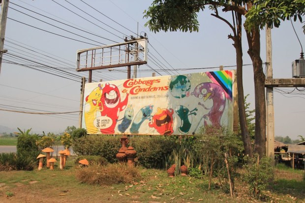 Cabbages and Condoms- Chiang Mai, Thailand