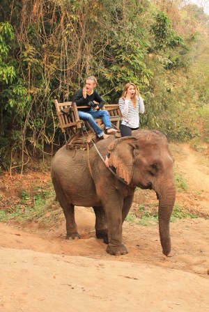 Elephant Ride- Luang Prabang, Laos