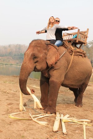 Elephant Ride- Luang Prabang, Laos