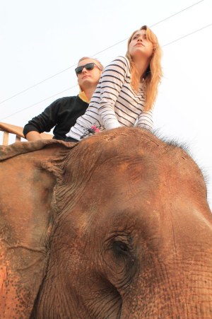 Elephant Ride- Luang Prabang, Laos