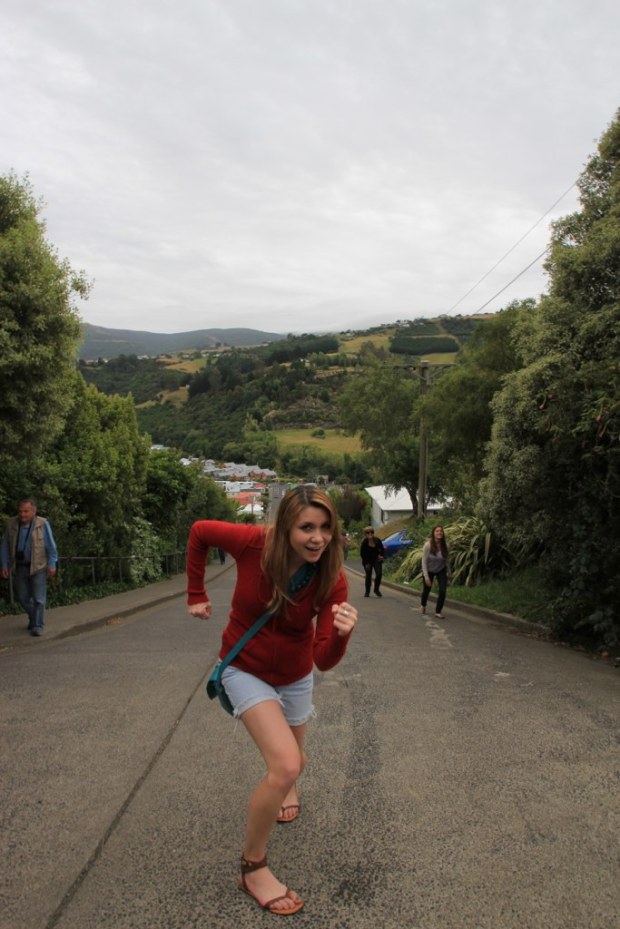 World's Steepest Street, Dunedin