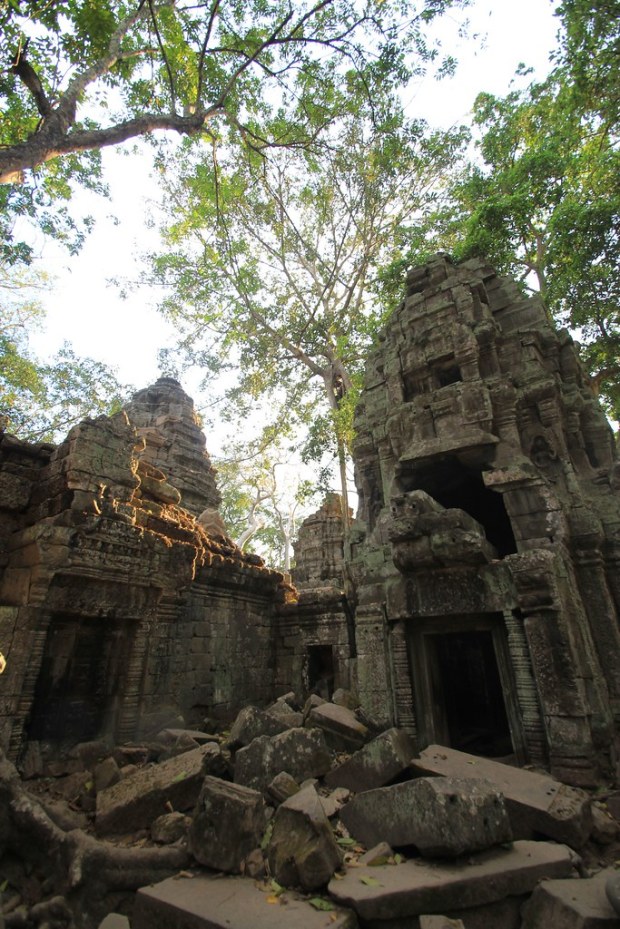 Ta Prohm - Siem Reap, Cambodia