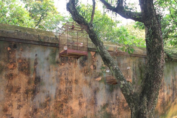 Imperial Citadel- Hue, Vietnam