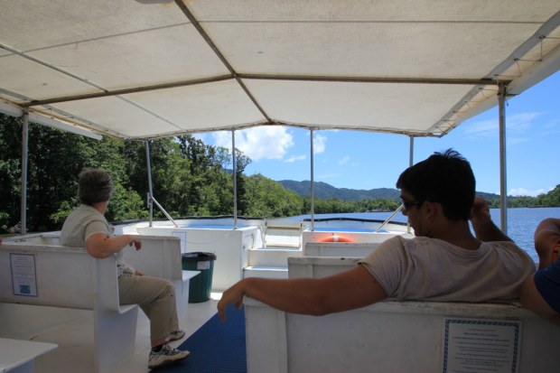 Daintree River, Australia