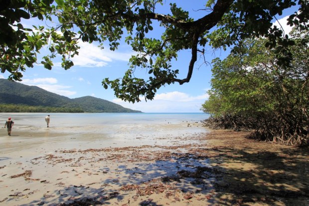 Cape Tribulation, Australia