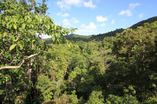 Daintree Discovery Center, Australia