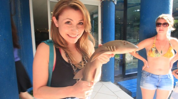 Shark Holding, Daydream Island: Whitsundays, Australia