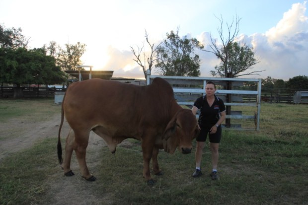 Farmstay, Cattle Country, Australia