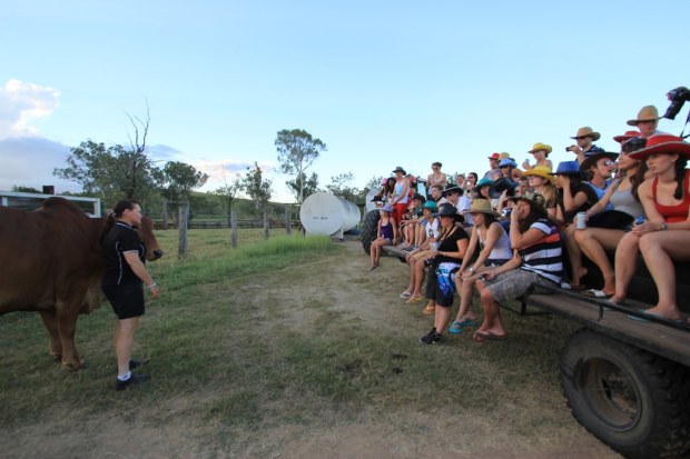 Farmstay, Cattle Country, Australia