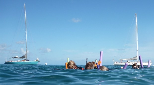 Snorkling, Whitsundays, Australia