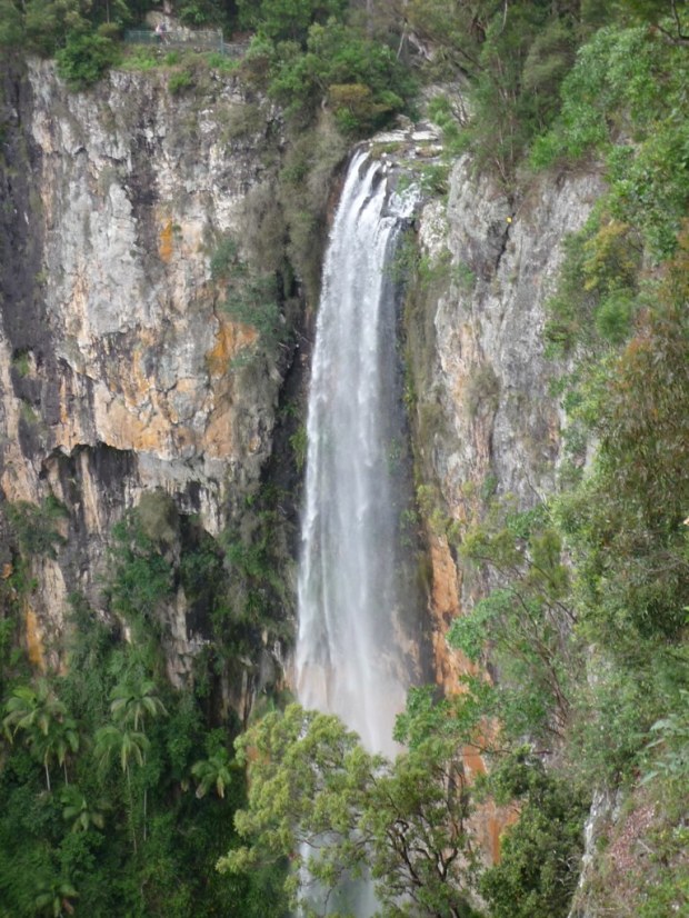 Mountain Trek- Surfers Paradise, Australia