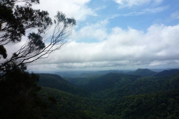 Mountain Trek- Surfers Paradise, Australia