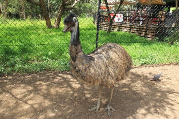 Currumbin Wildlife Sanctuary - Australia