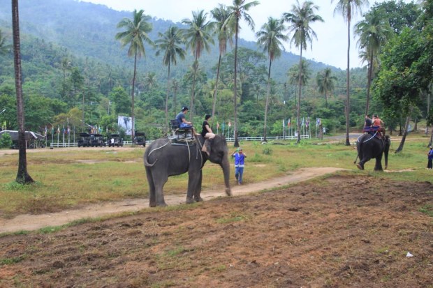 Elephant Rides- Koh Samui, Thailand