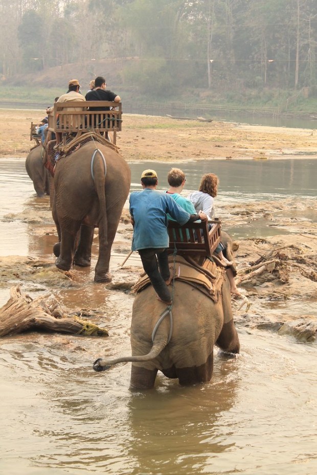 Elephant Ride- Luang Prabang, Laos