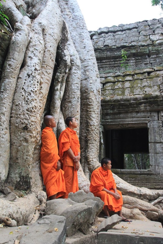 Ta Prohm - Siem Reap, Cambodia