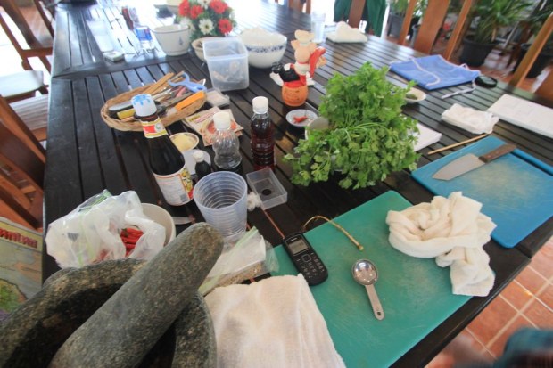 Thai Cooking Class - Koh Pha Ngan, Thailand