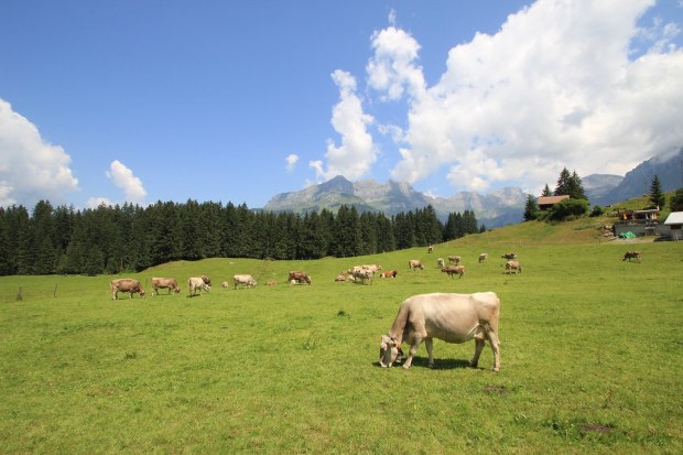 Swiss Alps, Switzerland