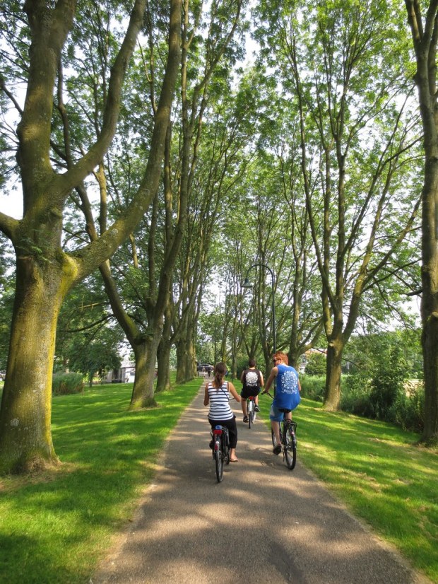 Bike Riding- Amsterdam, Netherlands