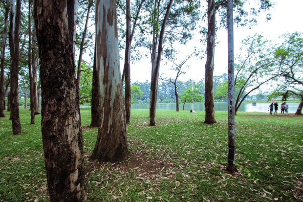 Parque do Ibirapuera - Sao Paulo, Brazil