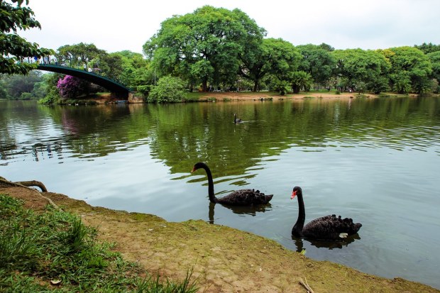 Parque do Ibirapuera - Sao Paulo, Brazil