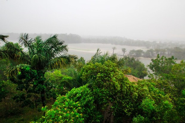 Tropical Rainstorm by the Jungle Lodge - Amazon, Brazil