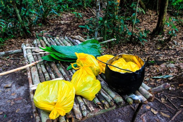 Dinner - Amazon, Brazil