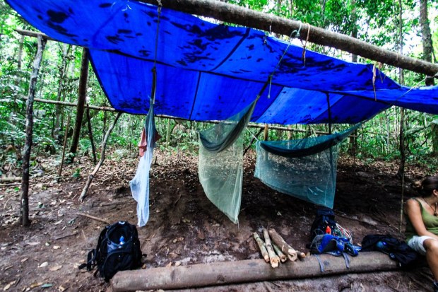 Jungle Camp - Amazon, Brazil