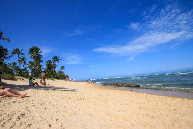 Praia do Forte - Bahia, Brazil