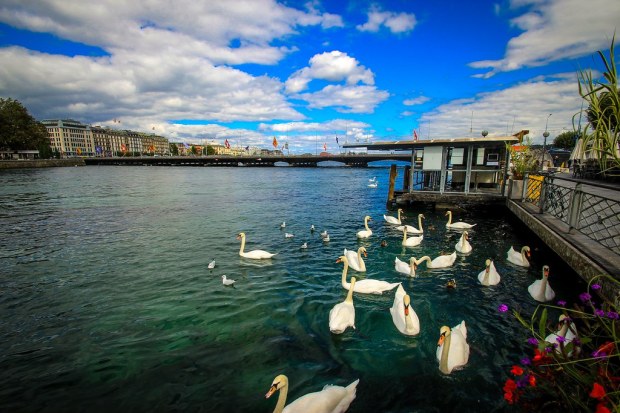 Geneva Lake - Geneva, Switzerland